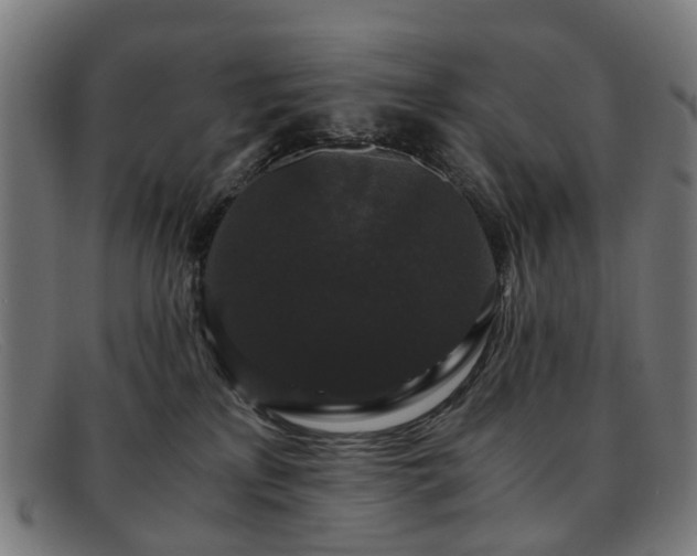 X0000091880233200709121419