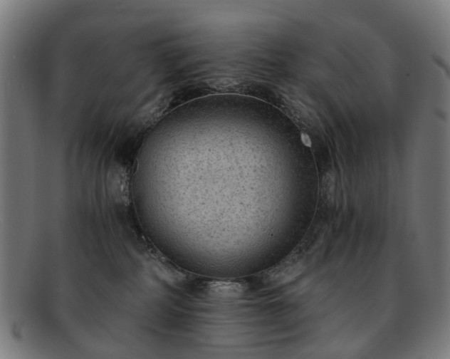 X0000091880234200709121419