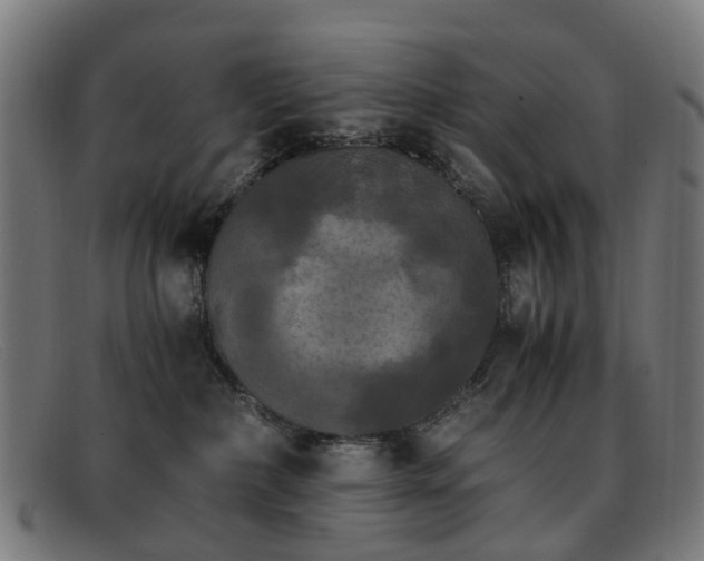 X0000091880236200709121419