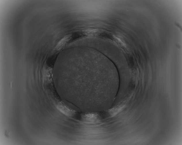 X0000091880237200709121419