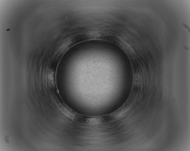 X0000091880238200709121419