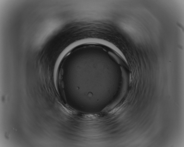 X0000091880239200709121419