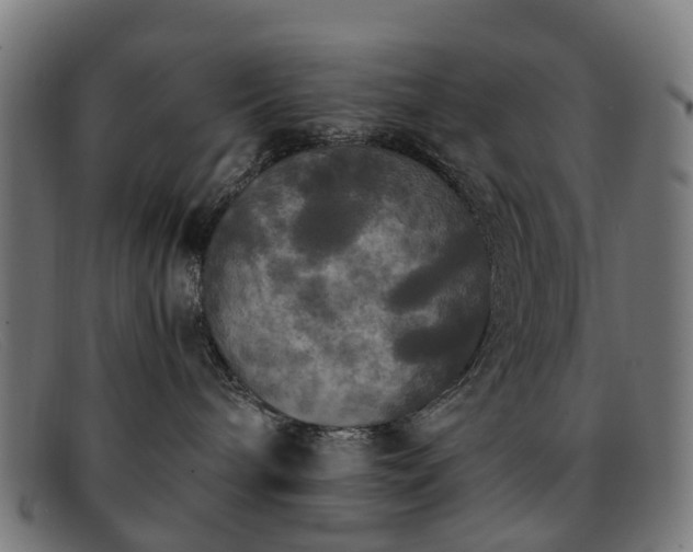 X0000091880240200709121419