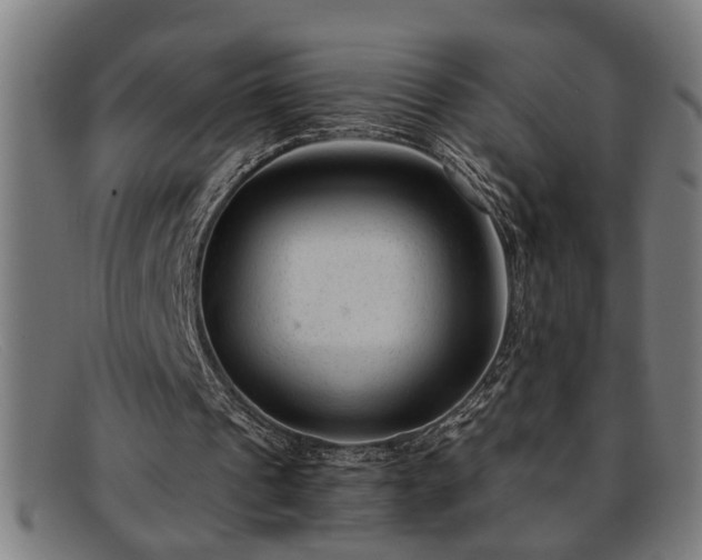 X0000091880241200709121418