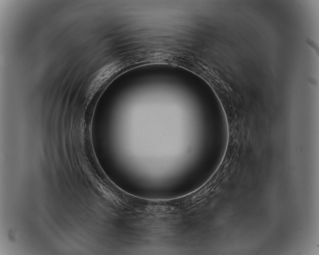 X0000091880242200709121418