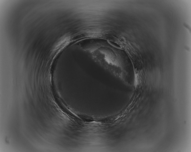 X0000091880243200709121418