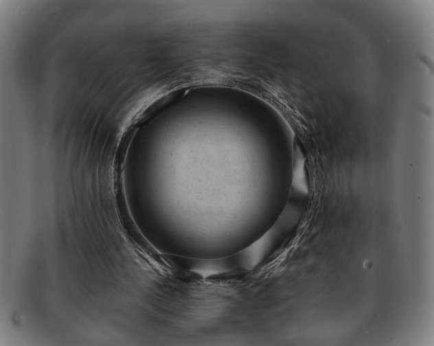 X0000091880244200709121418