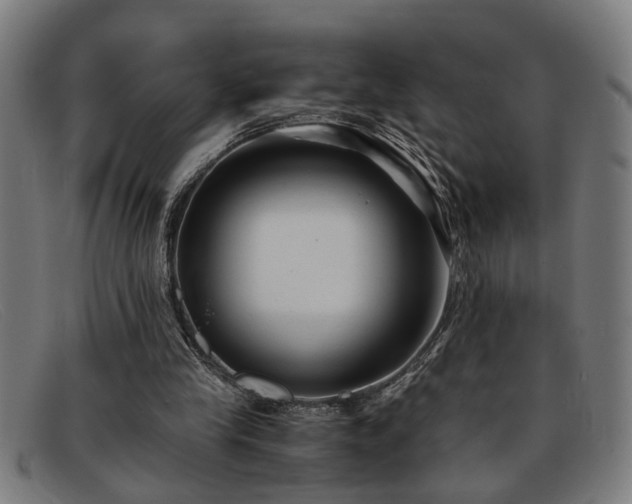 X0000091880245200709121418