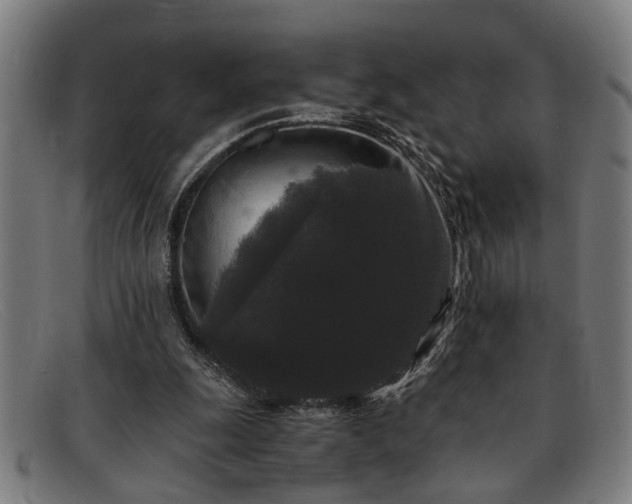 X0000091880247200709121418