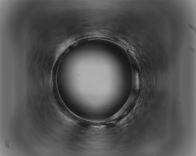 X0000091880248200709121419