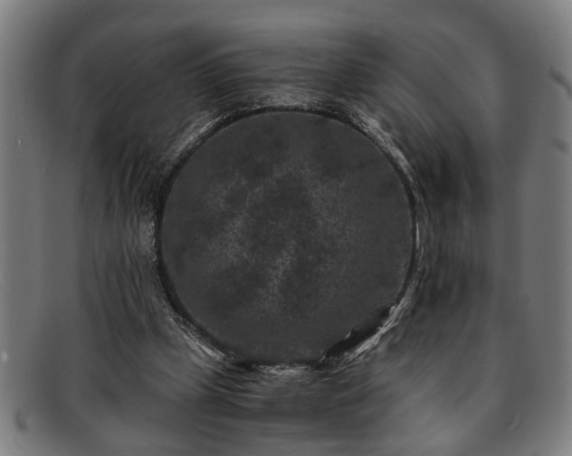 X0000091880249200709121419