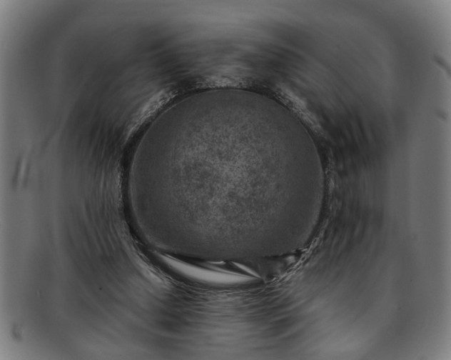 X0000091880250200709121419