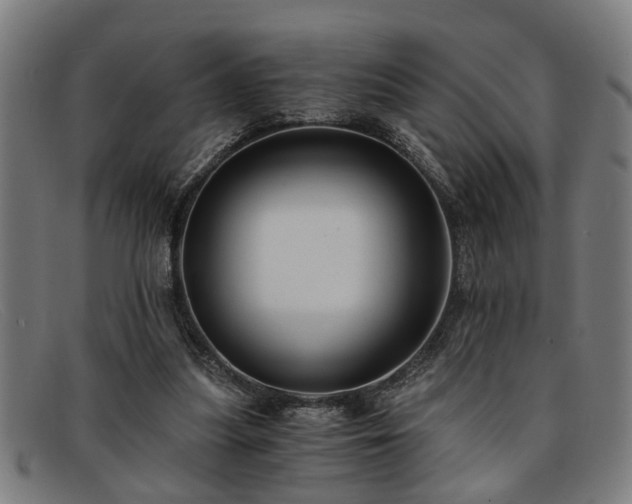 X0000091880251200709121419