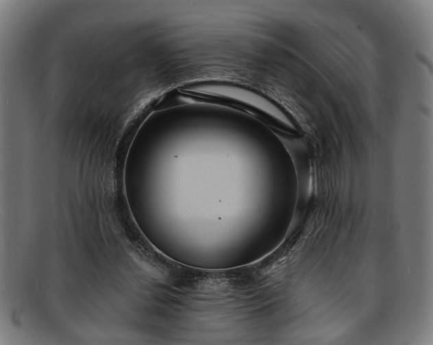 X0000091880252200709121419