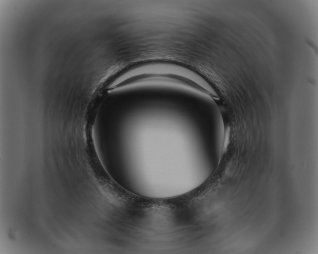 X0000091880256200709121419