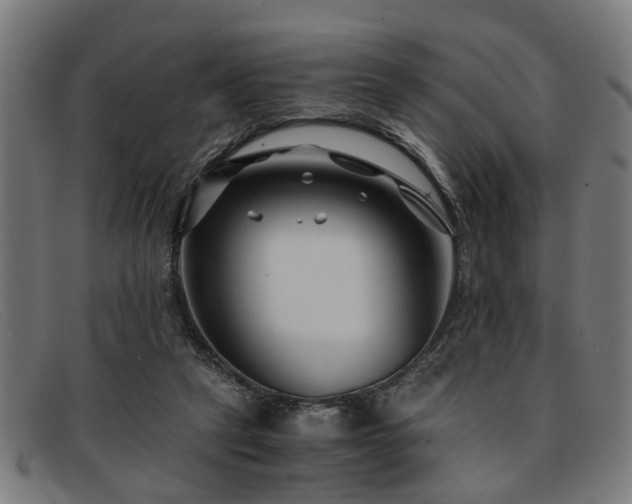 X0000091880257200709121419