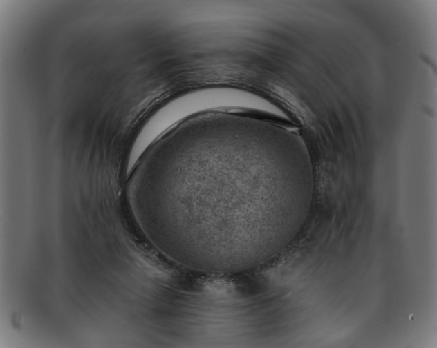 X0000091880258200709121419