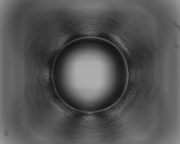 X0000091880259200709121419