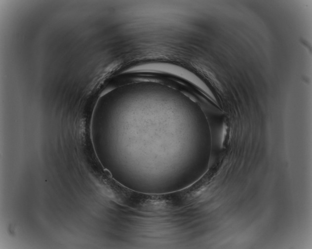 X0000091880260200709121419