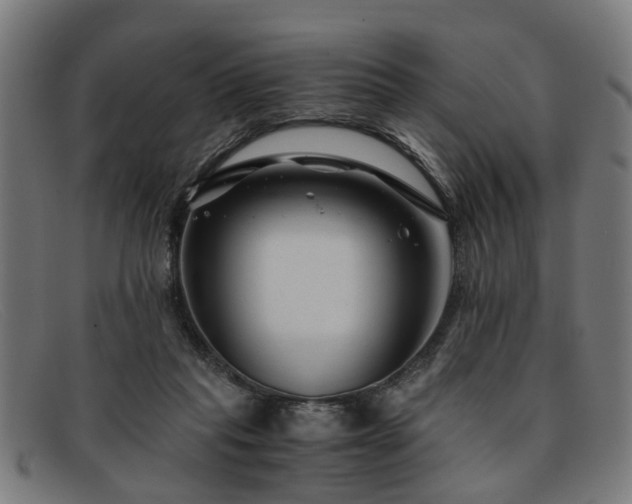 X0000091880261200709121419