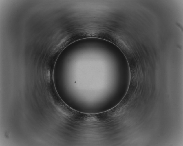 X0000091880262200709121419