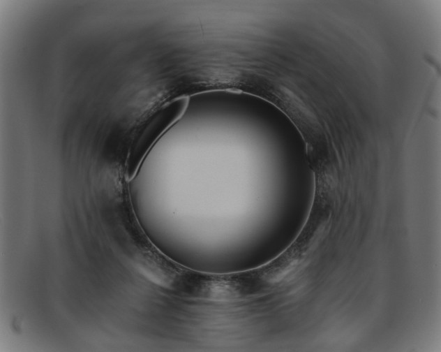 X0000091880264200709121419