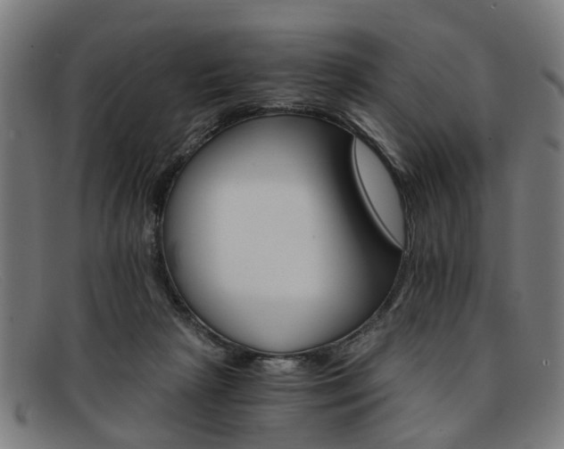 X0000091880265200709121419