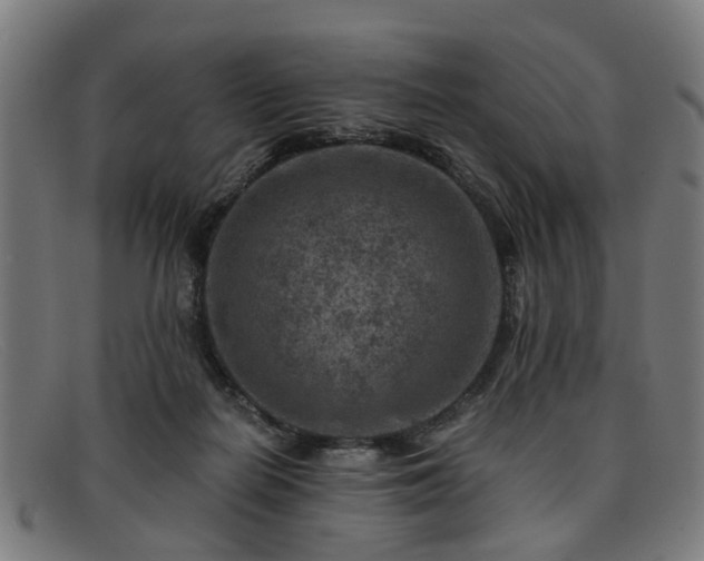 X0000091880266200709121419