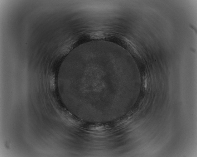 X0000091880267200709121419