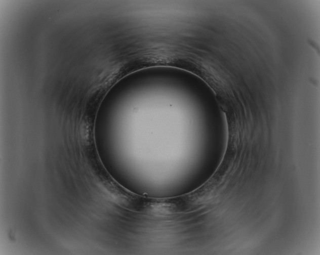 X0000091880268200709121419