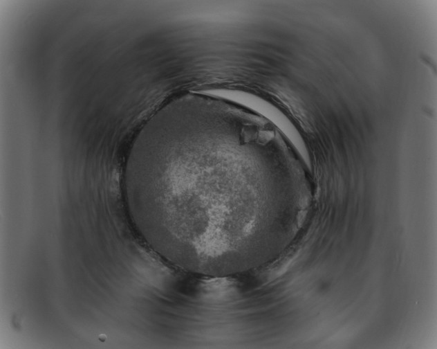 X0000091880269200709121419