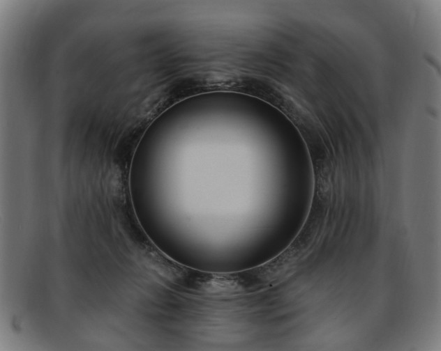 X0000091880270200709121419