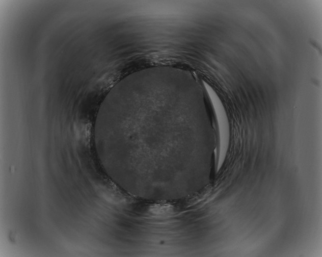 X0000091880271200709121419