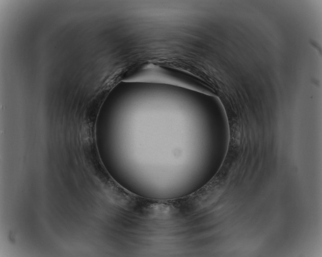 X0000091880272200709121419