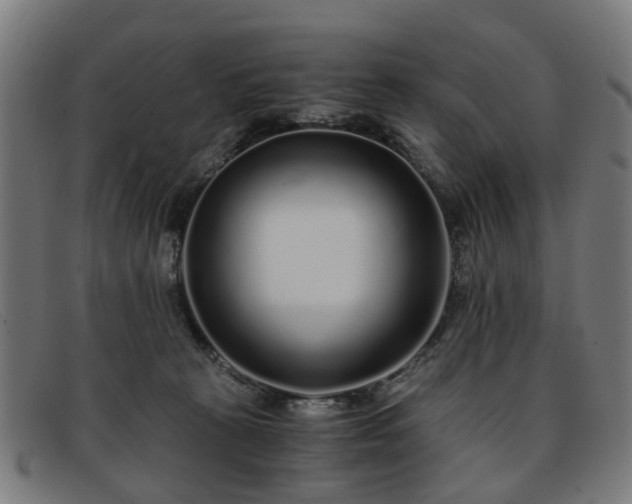 X0000091880273200709121419