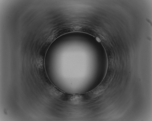 X0000091880274200709121419