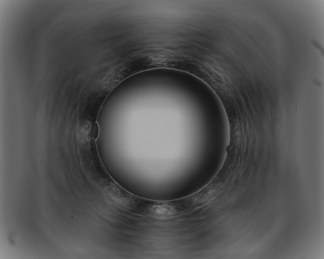 X0000091880275200709121419