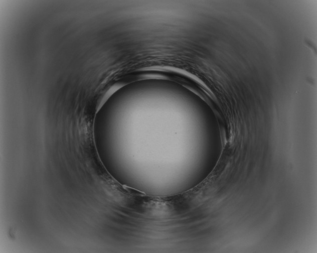 X0000091880276200709121419