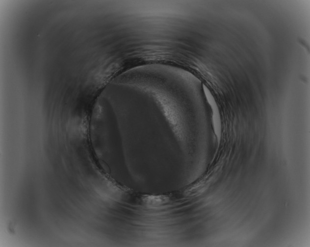 X0000091880277200709121419