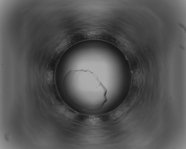 X0000091880278200709121419