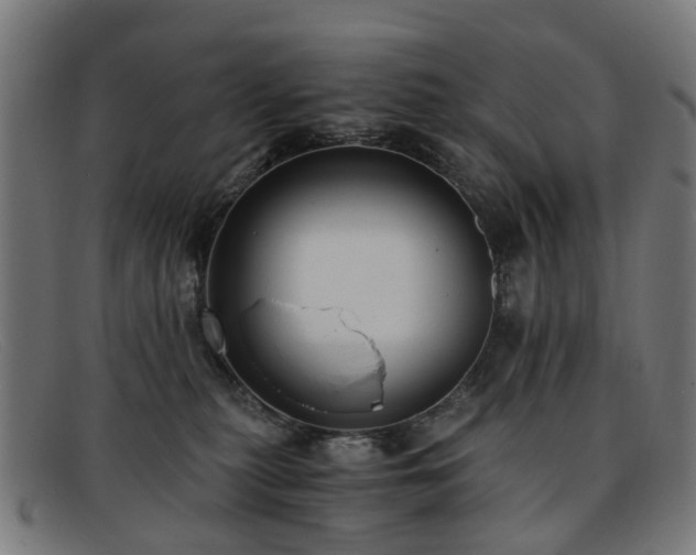 X0000091880279200709121419