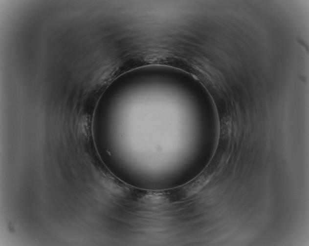 X0000091880280200709121419