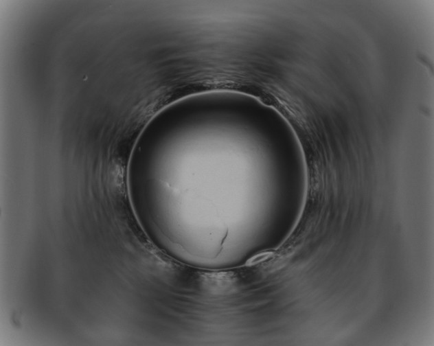 X0000091880281200709121419