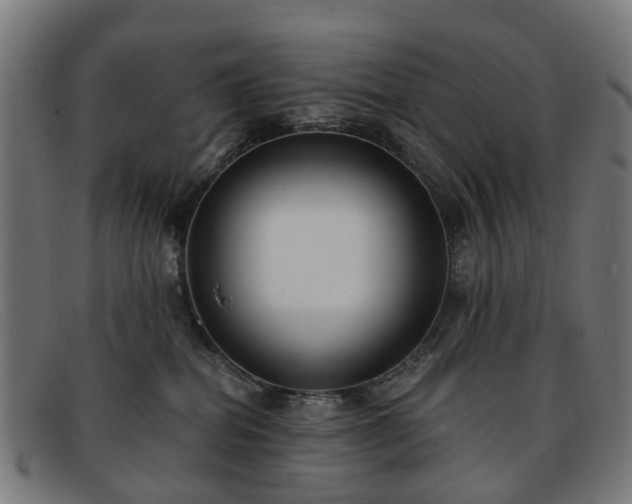 X0000091880282200709121419