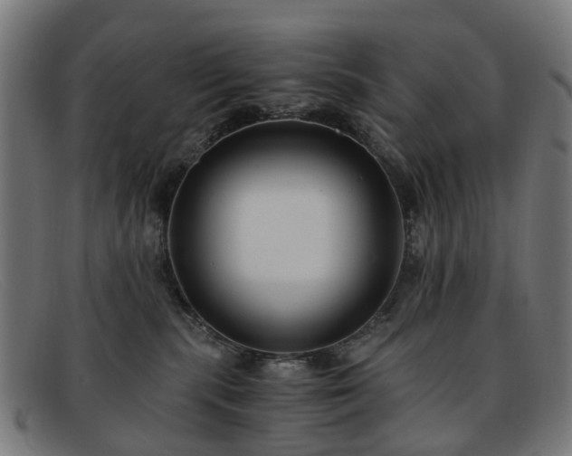 X0000091880283200709121419