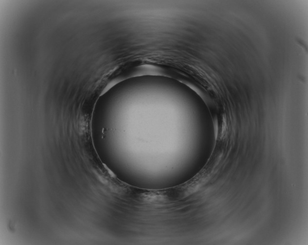 X0000091880284200709121419