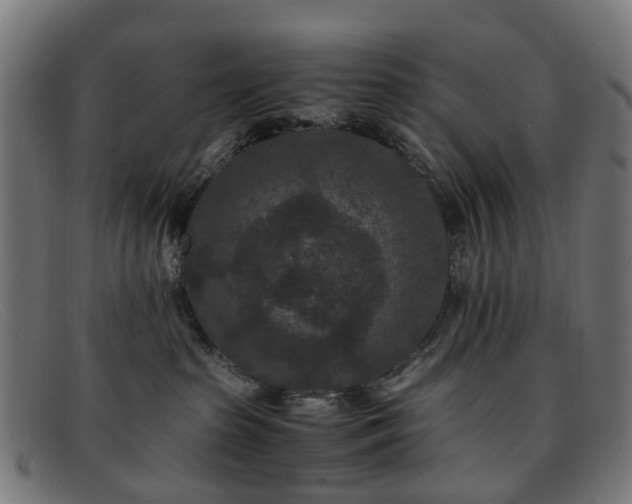 X0000091880285200709121419