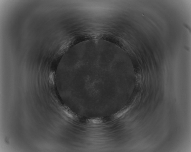 X0000091880286200709121419