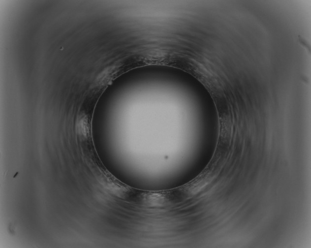 X0000091880287200709121419