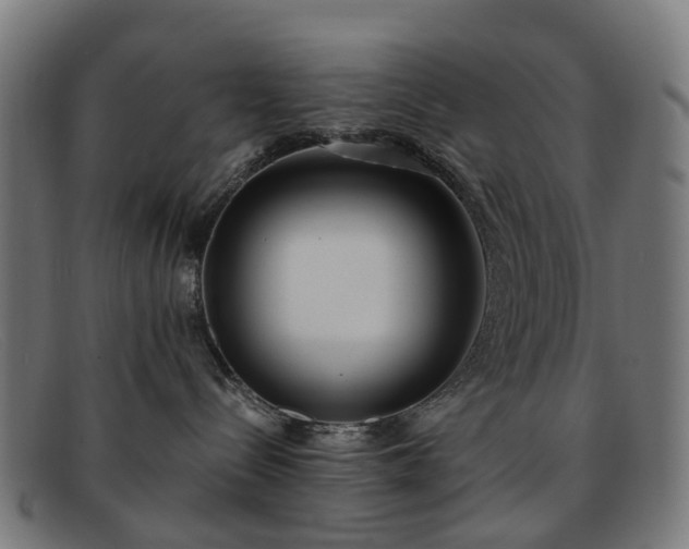 X0000091880288200709121419